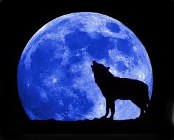 blue moon with wolf