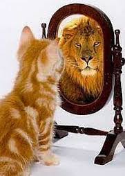 Cat looking in mirror sees lion